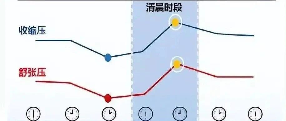 高血压的波动规律
