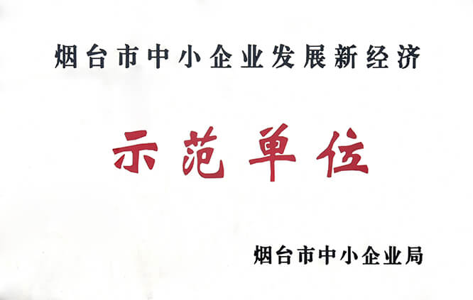 荣誉资质6
